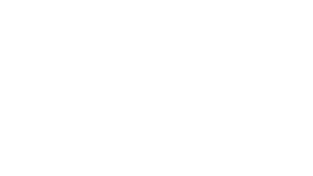 Logo Hébergeur Icarus