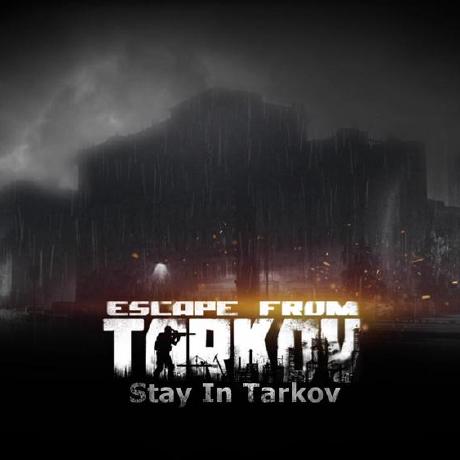 Logo Hébergeur Stay In Tarkov (SPT)